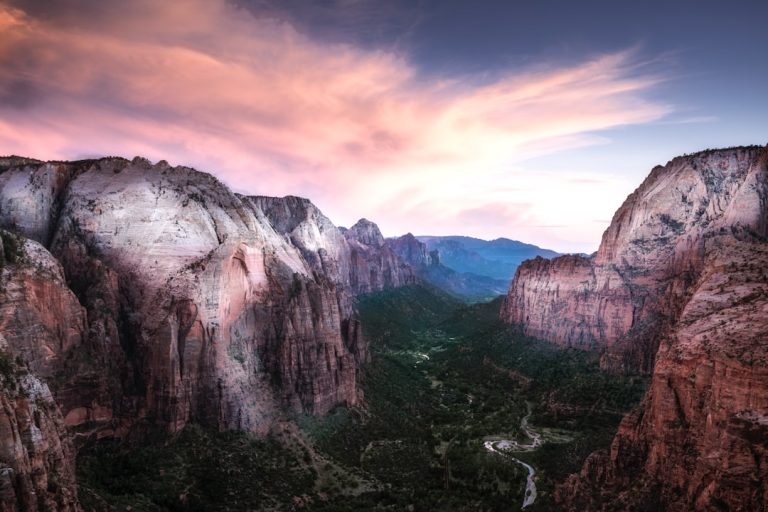 Embracing the Unknown: A Journey into the Wild